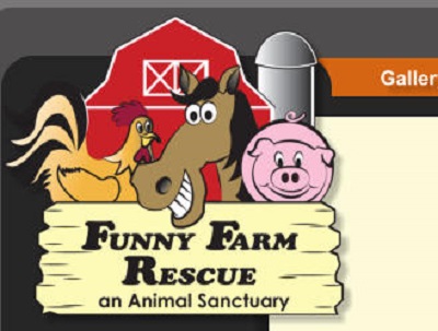 NJ DISCOVER SPOTLIGHT: Meet Laurie Zaleski, Animal Activist, Owner, Funny  Farm Rescue; an Animal Sanctuary; A Most Amazing Place and One of New  Jersey's Top Ten Family Places to Visit. By Calvin